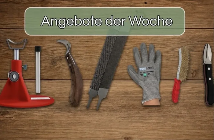 Angebote der Woche